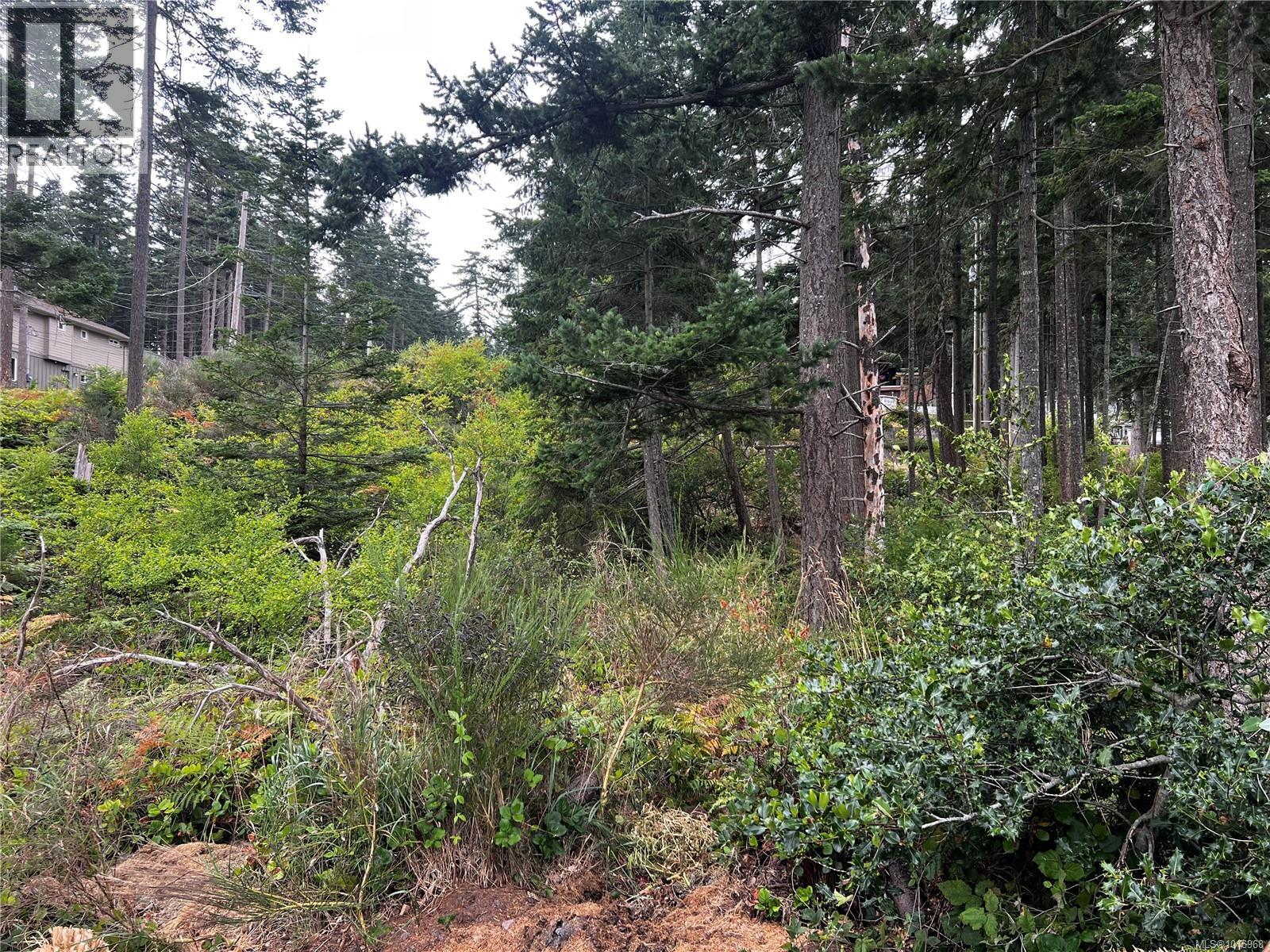 Lot 27 Walter Rd, Comox, British Columbia  V9M 3V7 - Photo 16 - 1046968