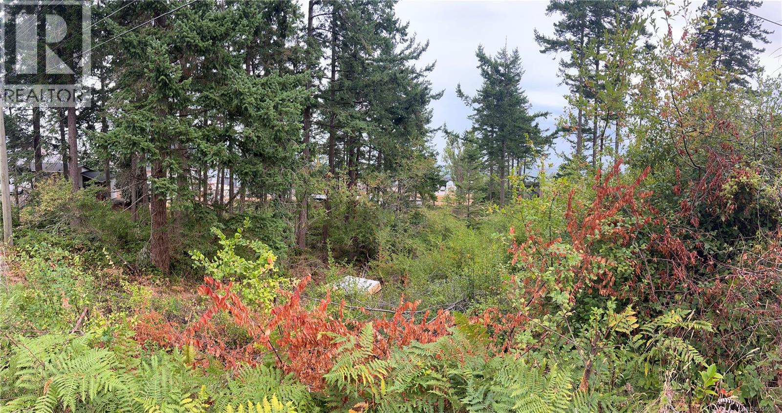 Lot 27 Walter Rd, Comox, British Columbia  V9M 3V7 - Photo 25 - 1046968