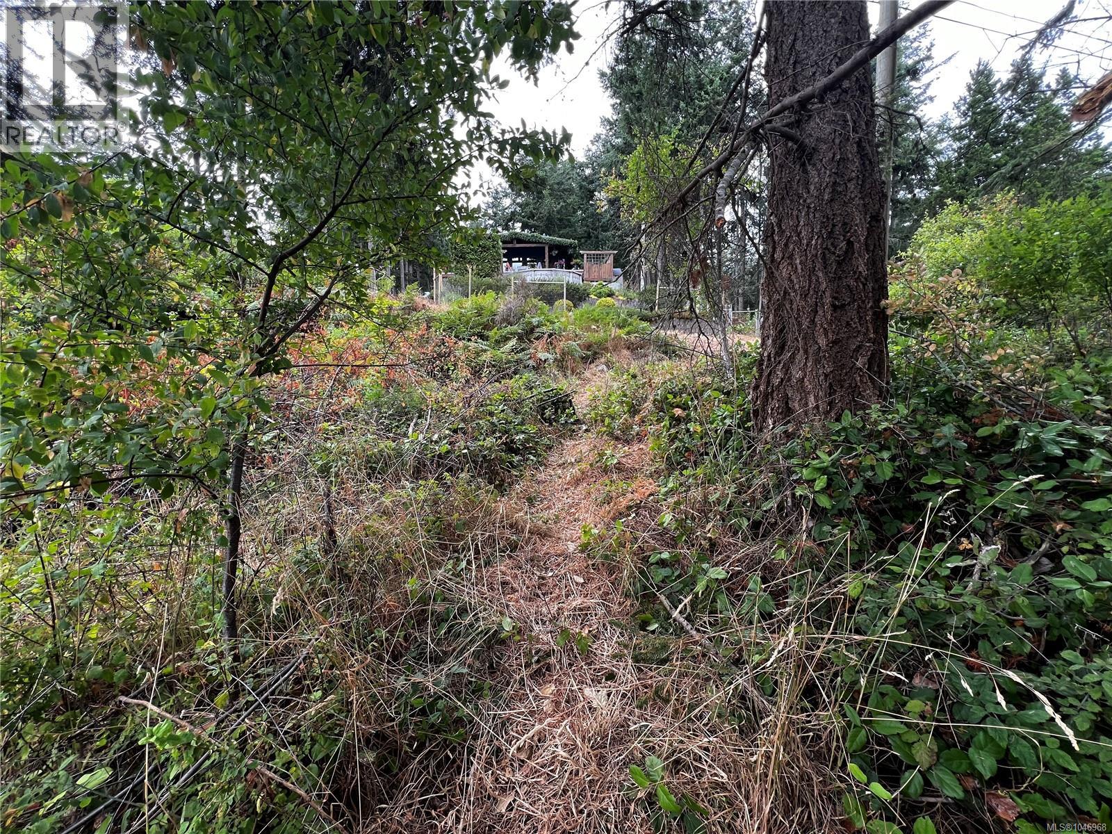 Lot 27 Walter Rd, Comox, British Columbia  V9M 3V7 - Photo 22 - 1046968
