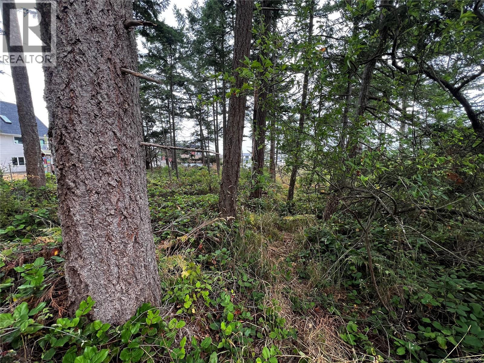 Lot 27 Walter Rd, Comox, British Columbia  V9M 3V7 - Photo 18 - 1046968