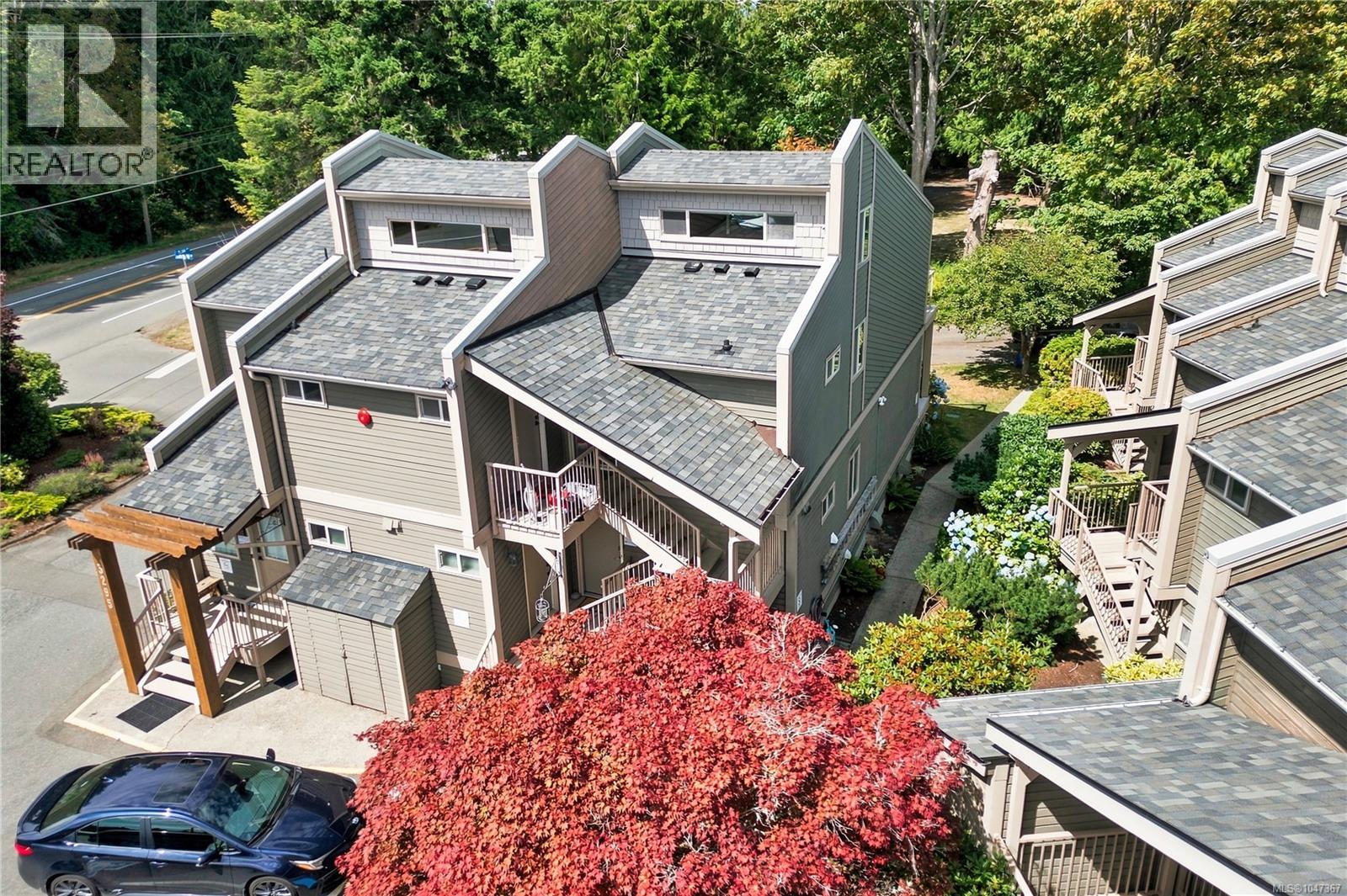 picture 32