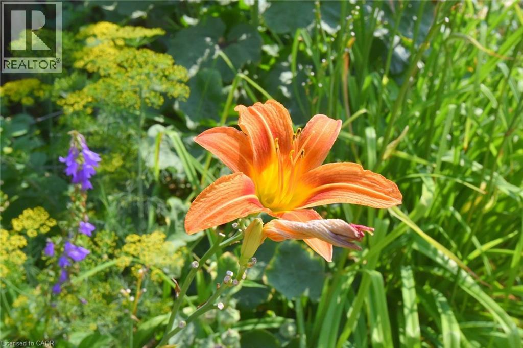 180 Province Street N, Hamilton, Ontario  L8H 4H8 - Photo 31 - 40851492