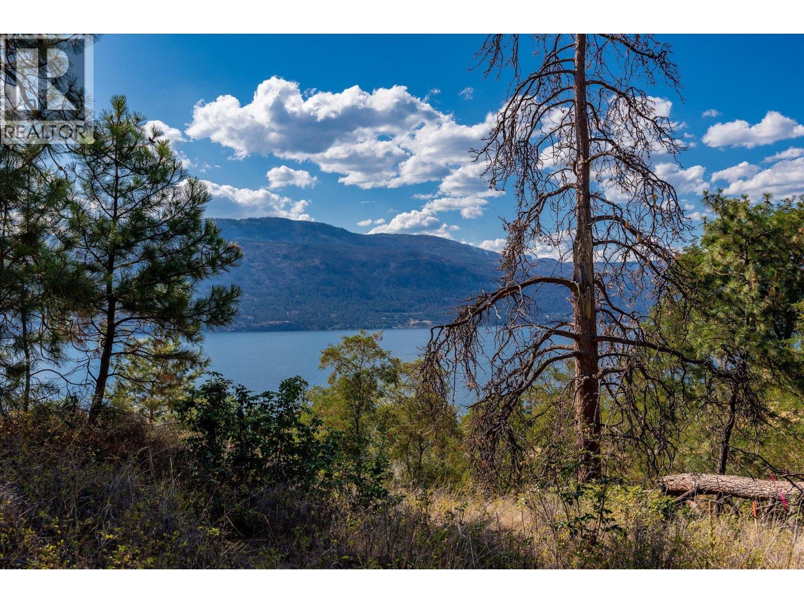 Okanagan Centre Road W Lot# 102, Lake Country, British Columbia  V4V 1G5 - Photo 9 - 10397802