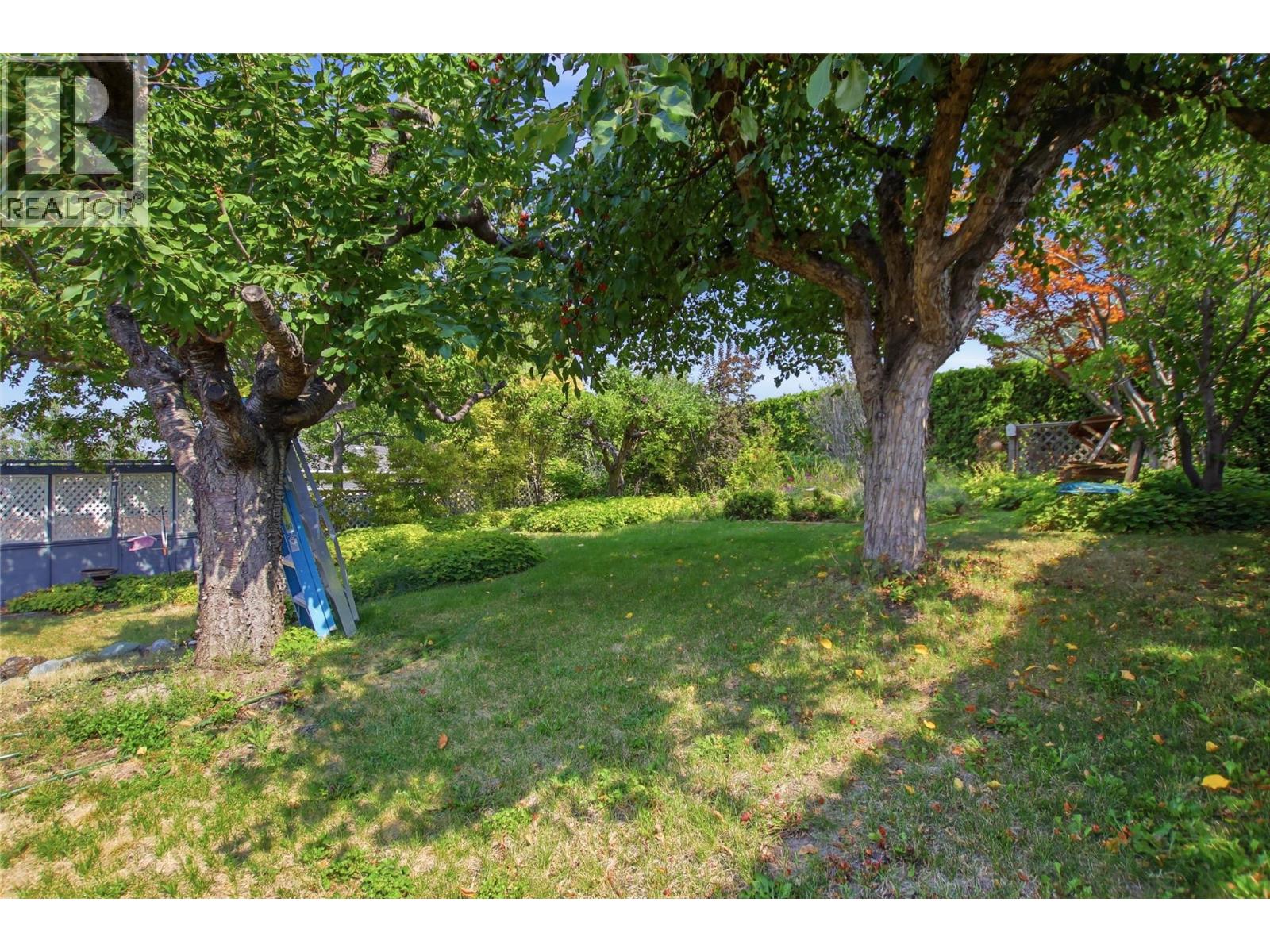 picture 26