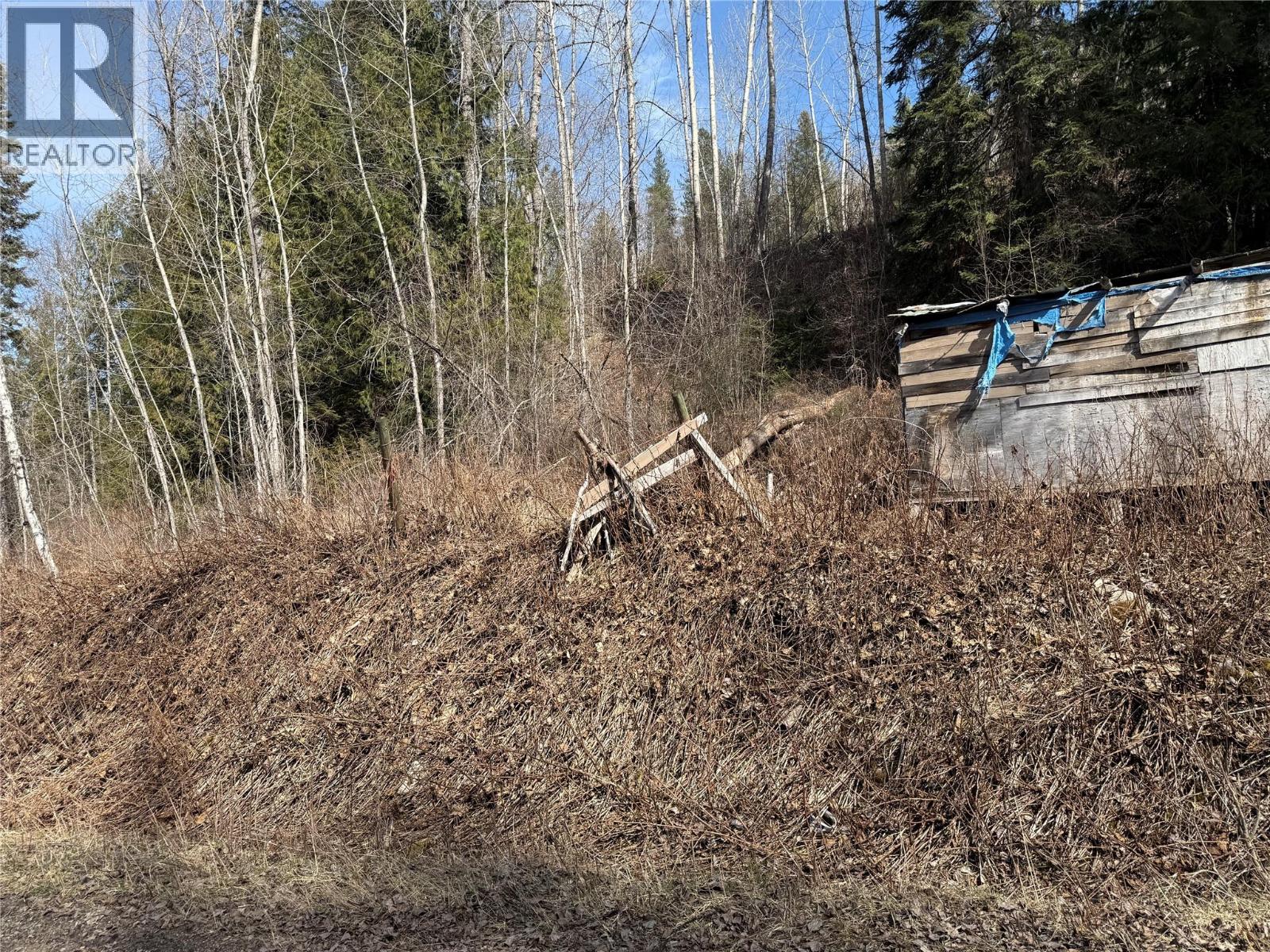 Vector Road Lot# 11, Salmo, British Columbia  V0G 1Z0 - Photo 8 - 10381165