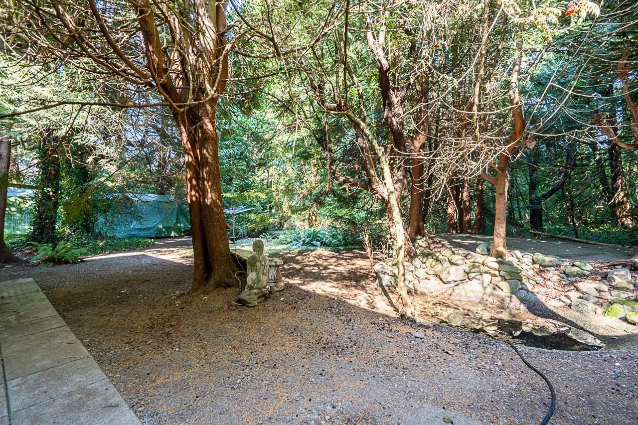 3530 142a Street, Surrey, British Columbia  V4P 1M3 - Photo 6 - R3157122