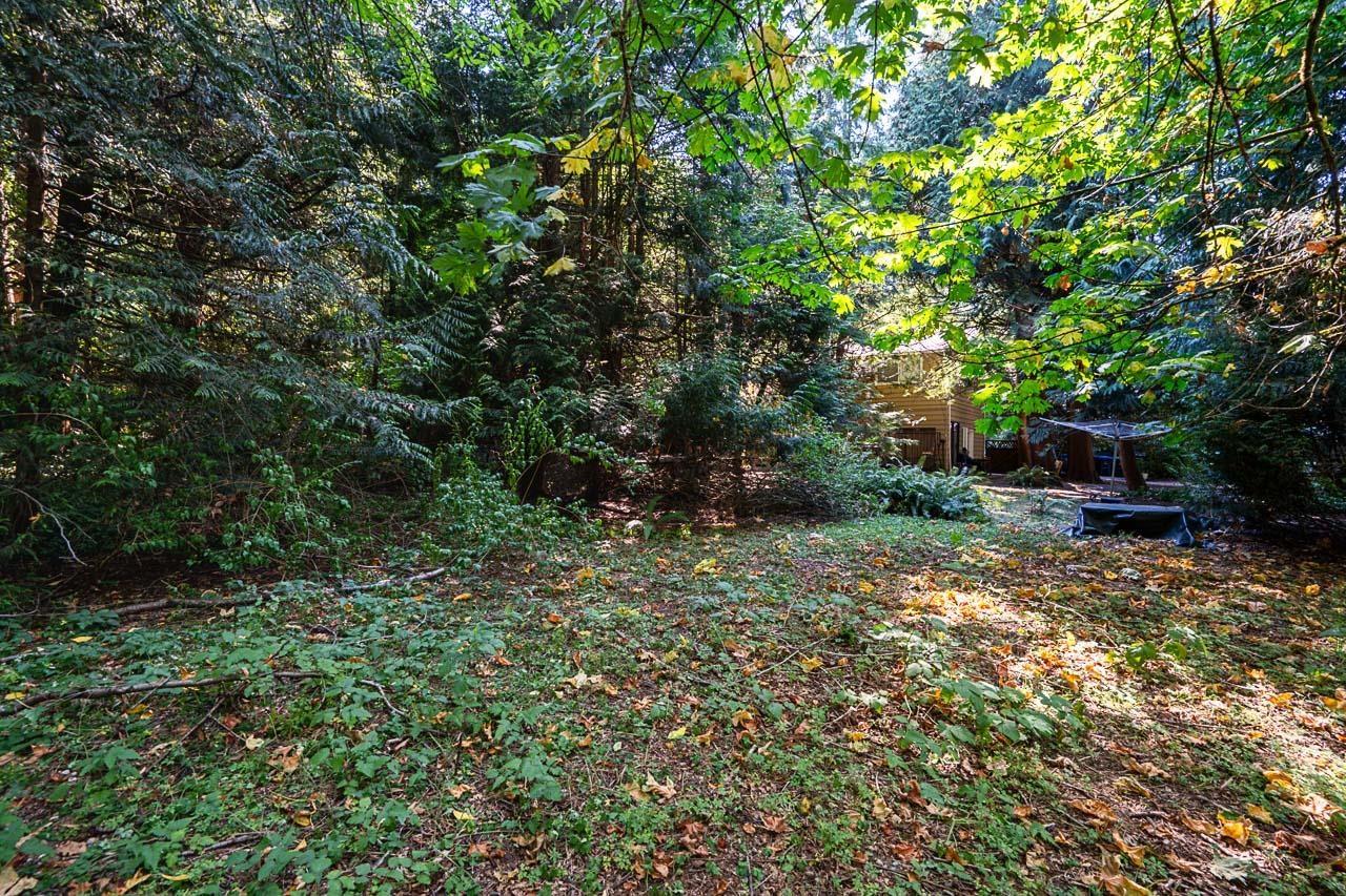 3530 142a Street, Surrey, British Columbia  V4P 1M3 - Photo 15 - R3157122