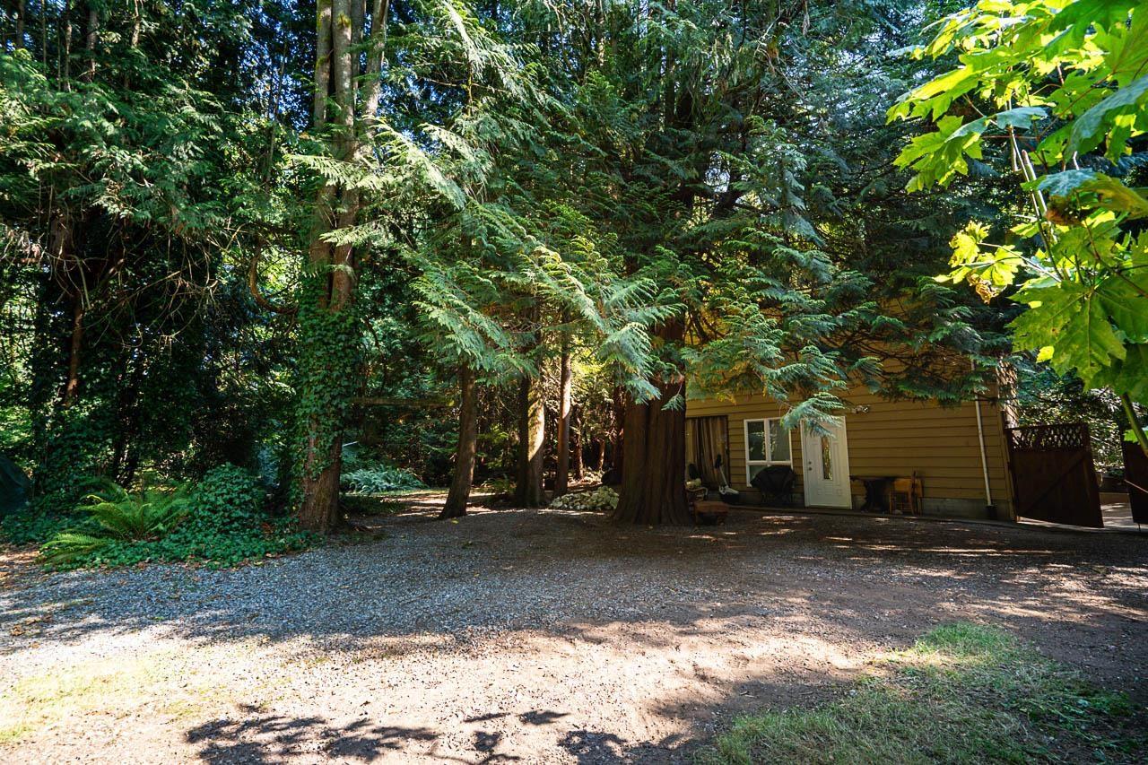 3530 142a Street, Surrey, British Columbia  V4P 1M3 - Photo 10 - R3157122