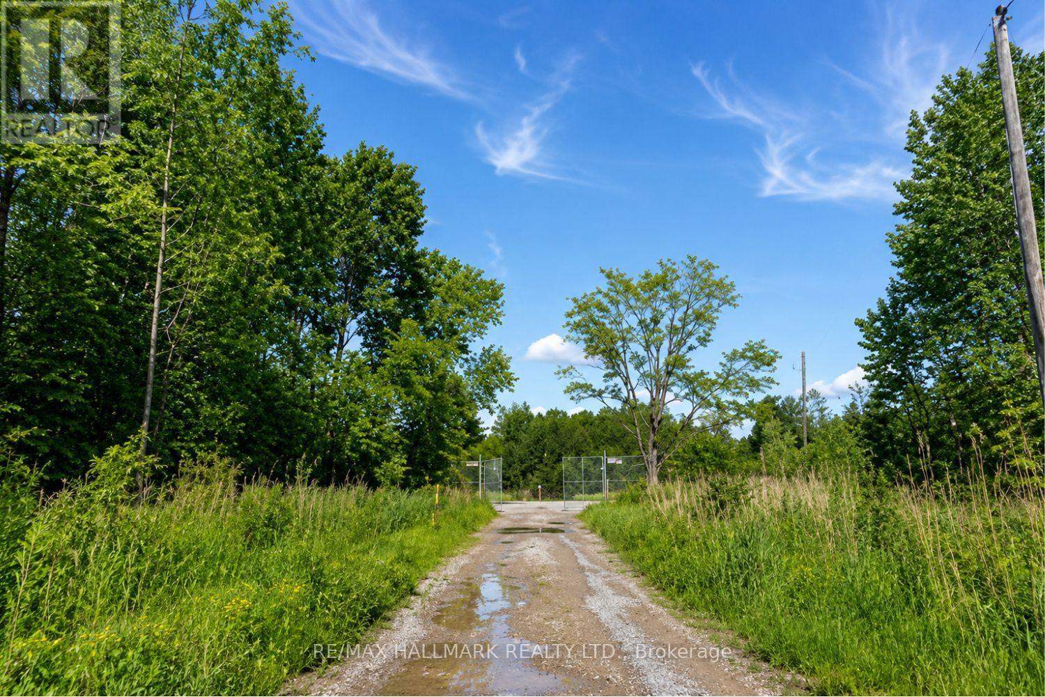21576 Mccowan Road, East Gwillimbury, Ontario  L0G 1M0 - Photo 2 - N13693034