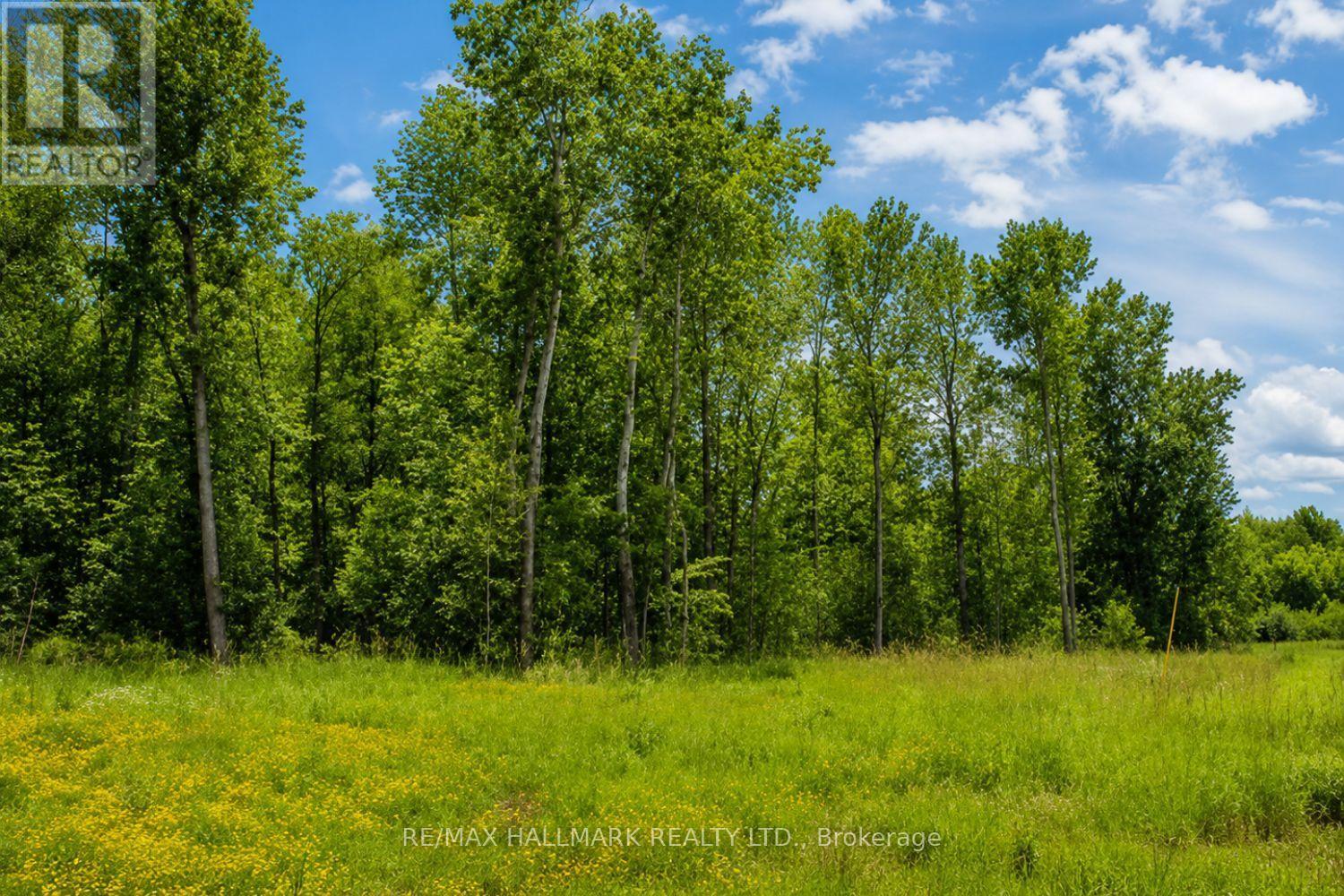 21576 Mccowan Road, East Gwillimbury, Ontario  L0G 1M0 - Photo 3 - N13693034