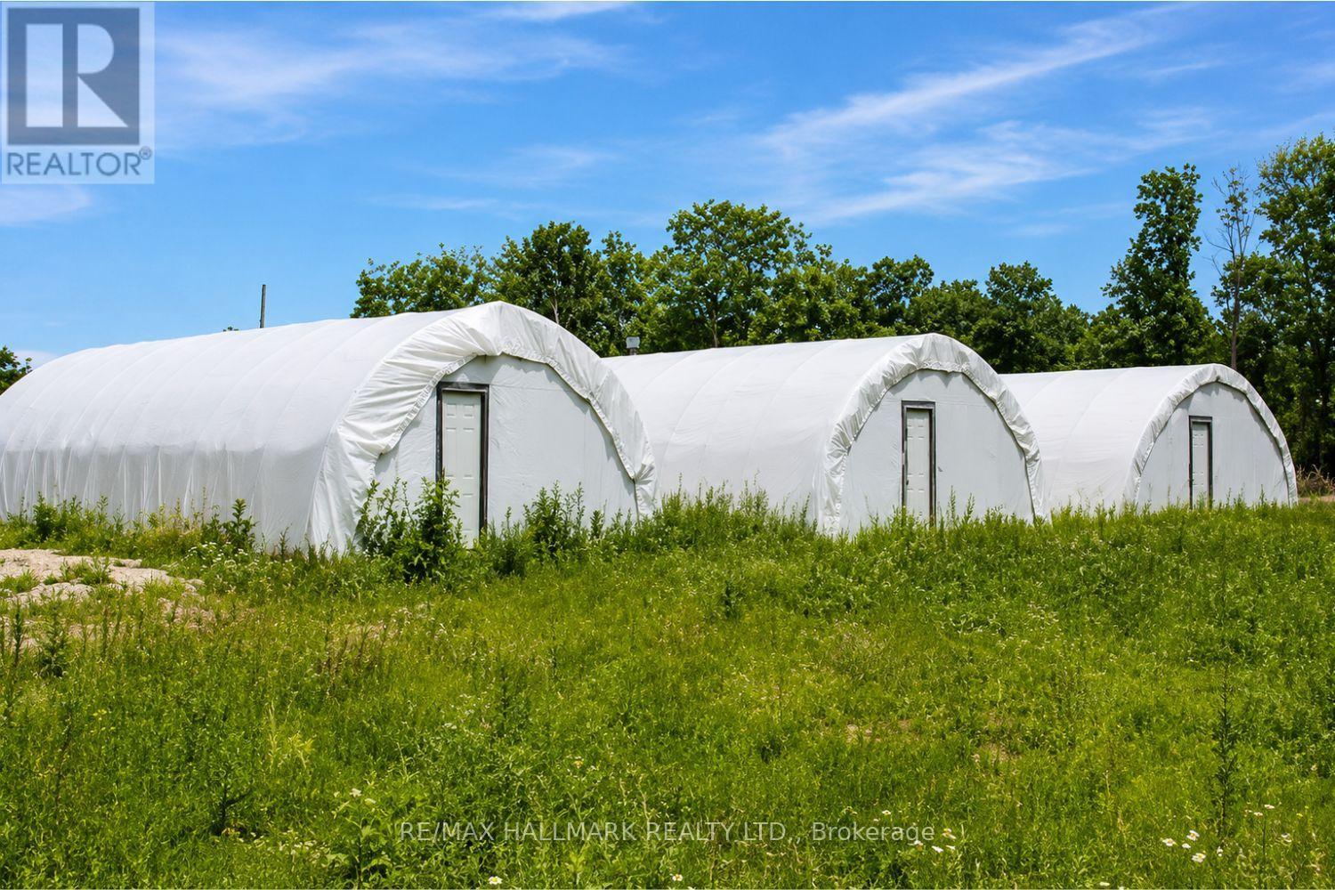 21576 Mccowan Road, East Gwillimbury, Ontario  L0G 1M0 - Photo 4 - N13693034