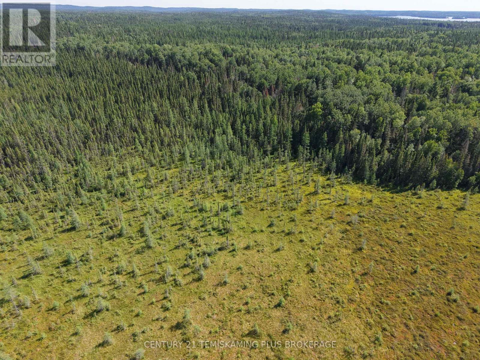 Pcl 17224 North Skead Bayly Road, Kirkland Lake, Ontario  P0K 1L0 - Photo 11 - T13447716
