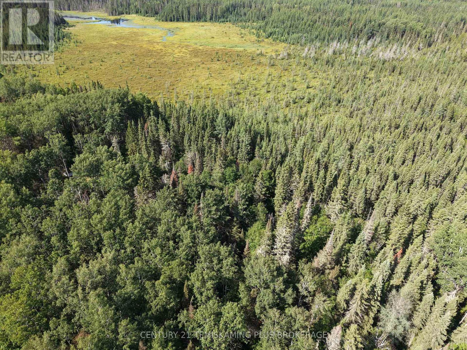 Pcl 17224 North Skead Bayly Road, Kirkland Lake, Ontario  P0K 1L0 - Photo 17 - T13447716