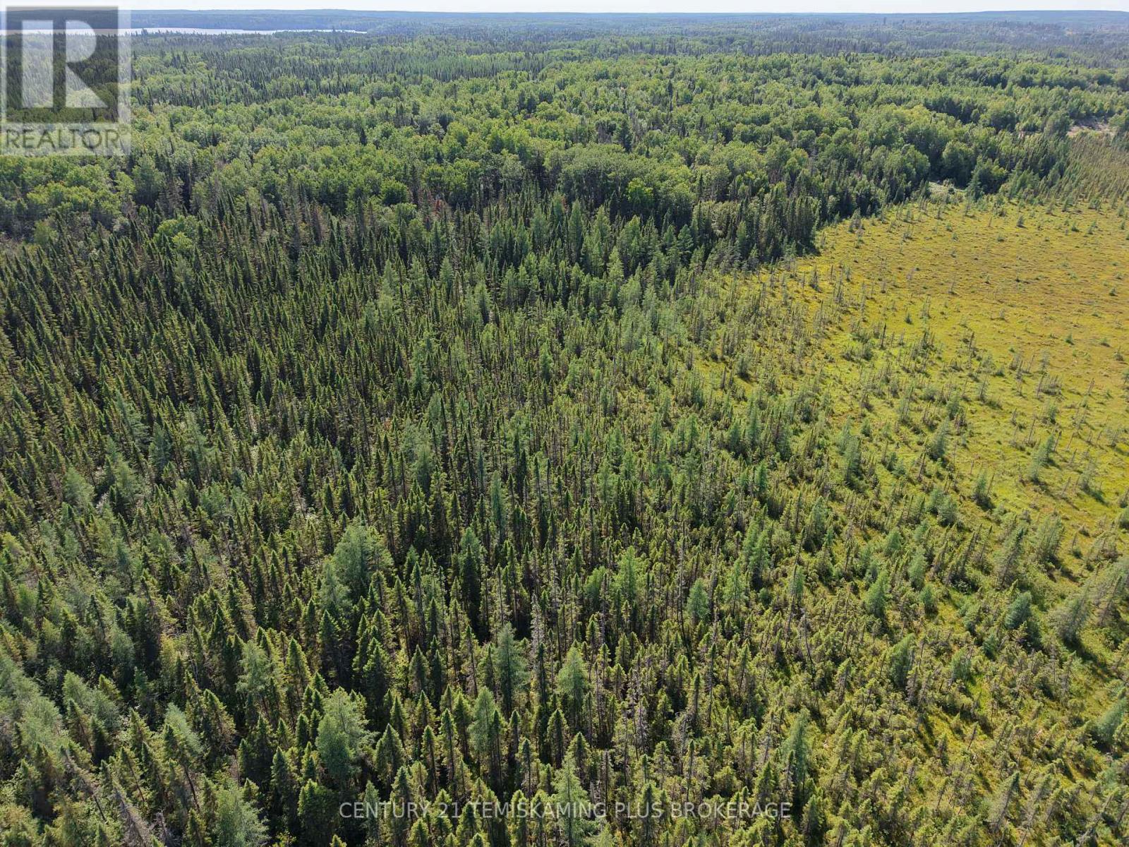 Pcl 17224 North Skead Bayly Road, Kirkland Lake, Ontario  P0K 1L0 - Photo 13 - T13447716