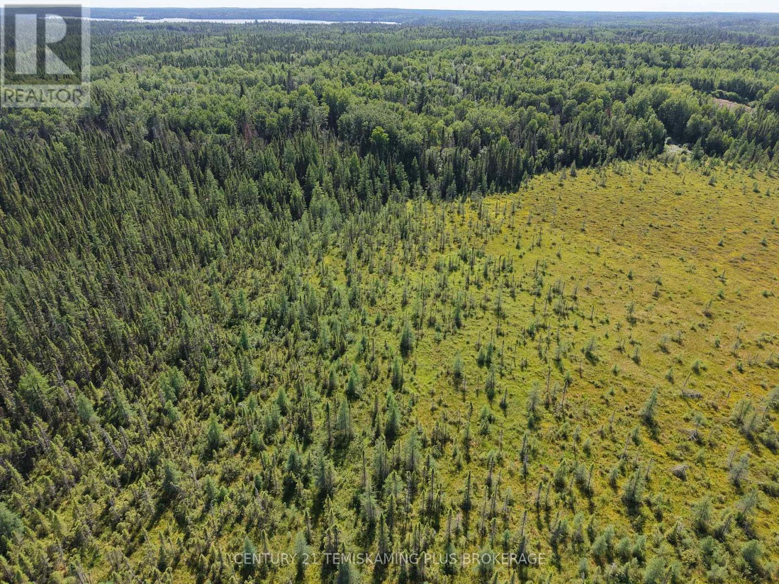 Pcl 17224 North Skead Bayly Road, Kirkland Lake, Ontario  P0K 1L0 - Photo 12 - T13447716