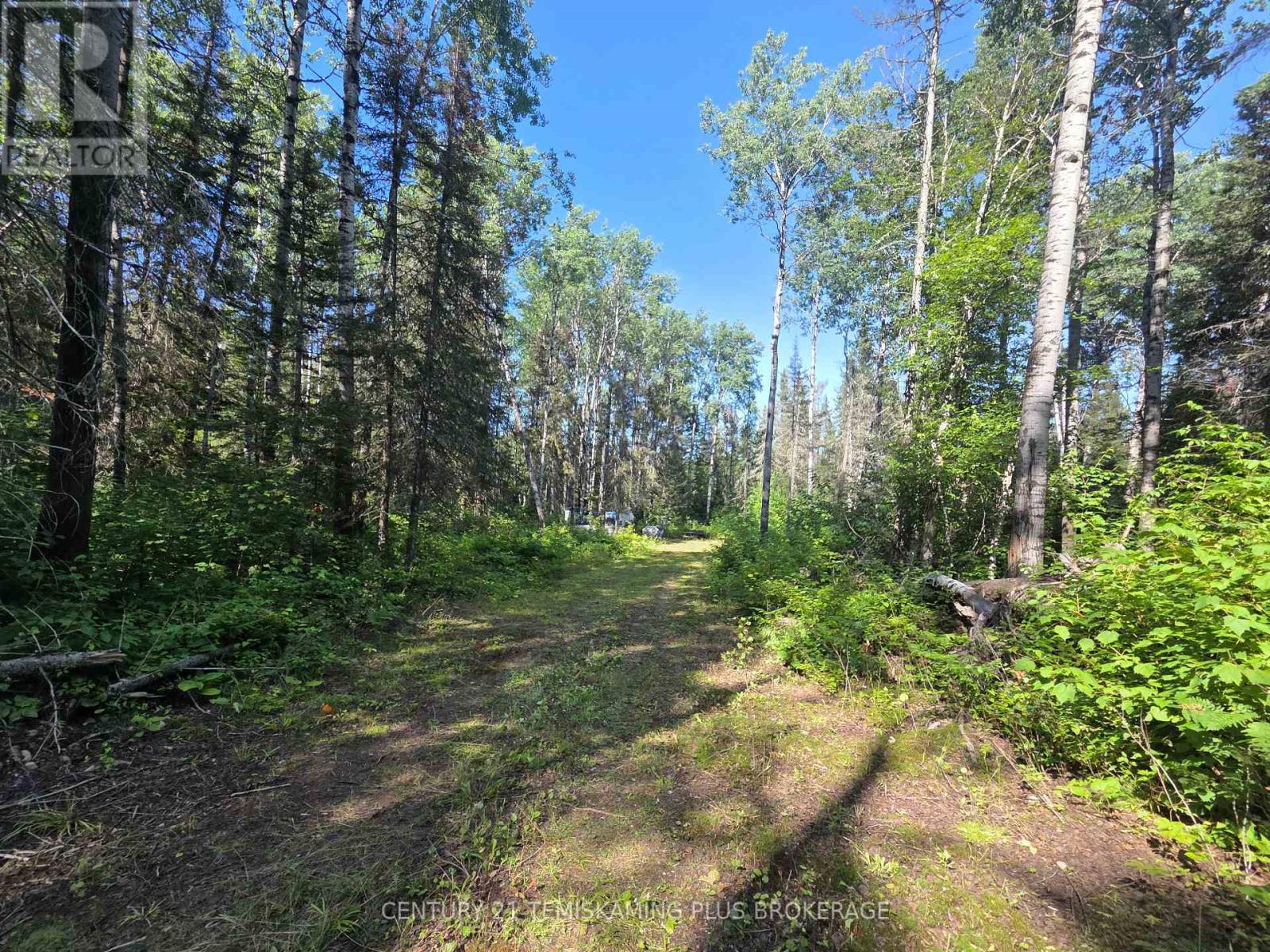 Pcl 17224 North Skead Bayly Road, Kirkland Lake, Ontario  P0K 1L0 - Photo 5 - T13447716