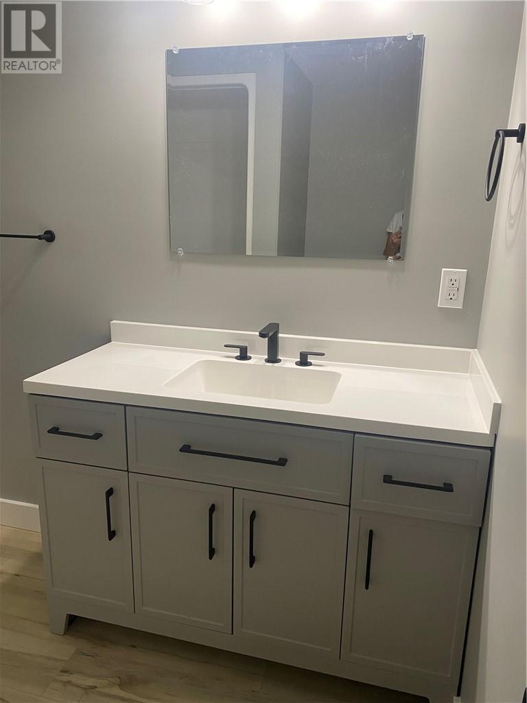 144 Meadowbrook Road Unit# Lower Unit, Azilda, Ontario  P0M 1B0 - Photo 24 - 2129508
