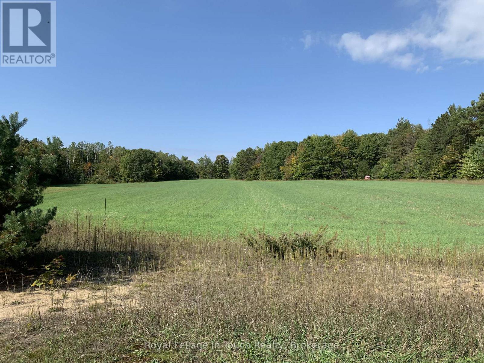 594 County Road 6 Road N, Tiny, Ontario  L0L 2J0 - Photo 10 - S13693134