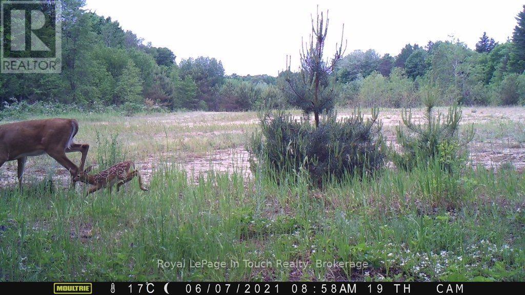 594 County Road 6 Road N, Tiny, Ontario  L0L 2J0 - Photo 7 - S13693134