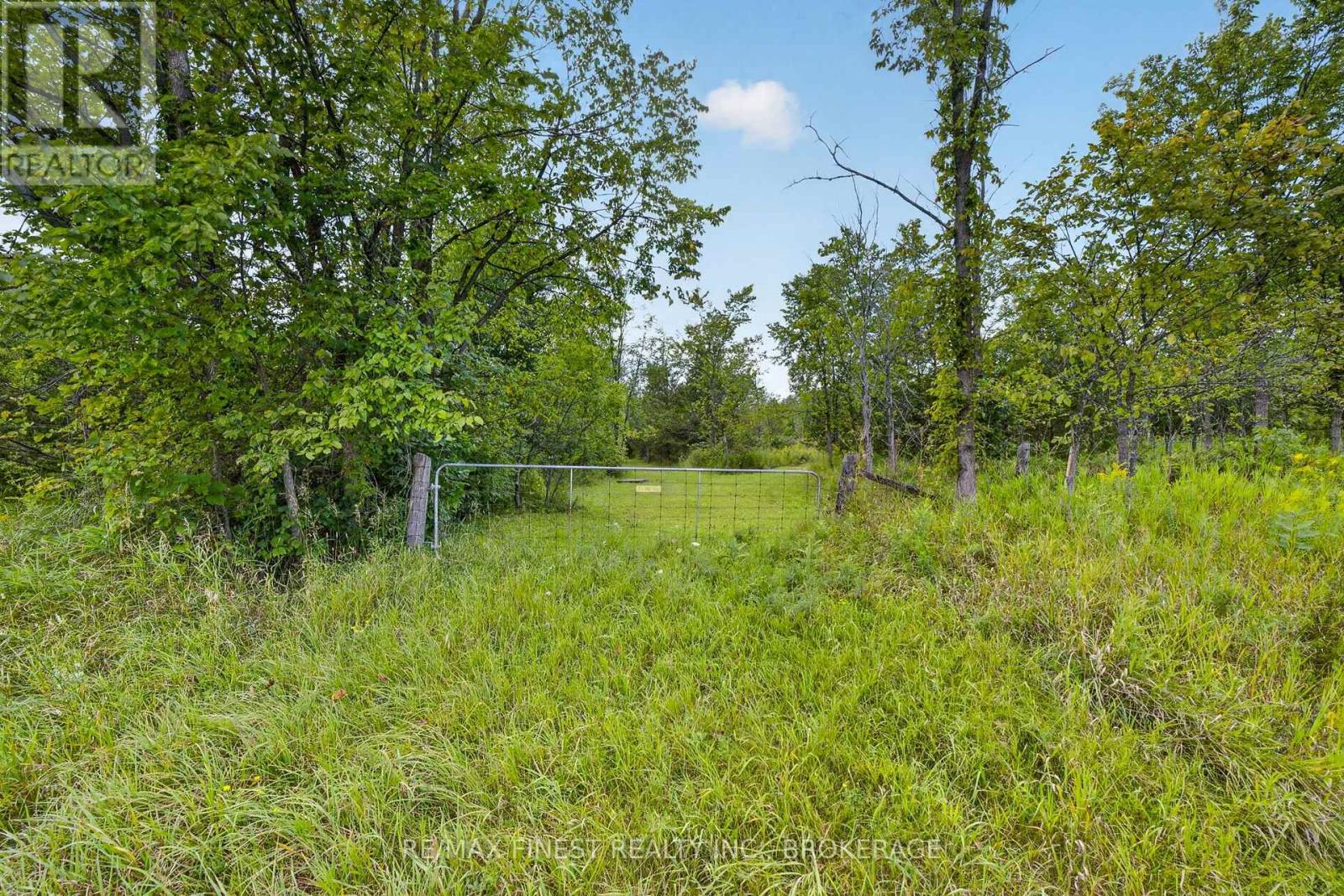 3854 County Road 6, Stone Mills, Ontario K0L 2H0 - Photo 6 - X13693356