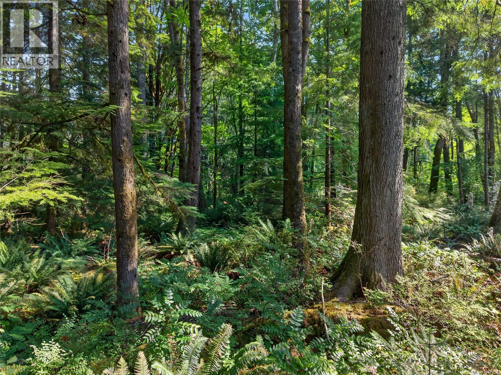 6565/6553 Fitzgerald Rd, Merville, British Columbia  V9J 1N7 - Photo 82 - 1047054