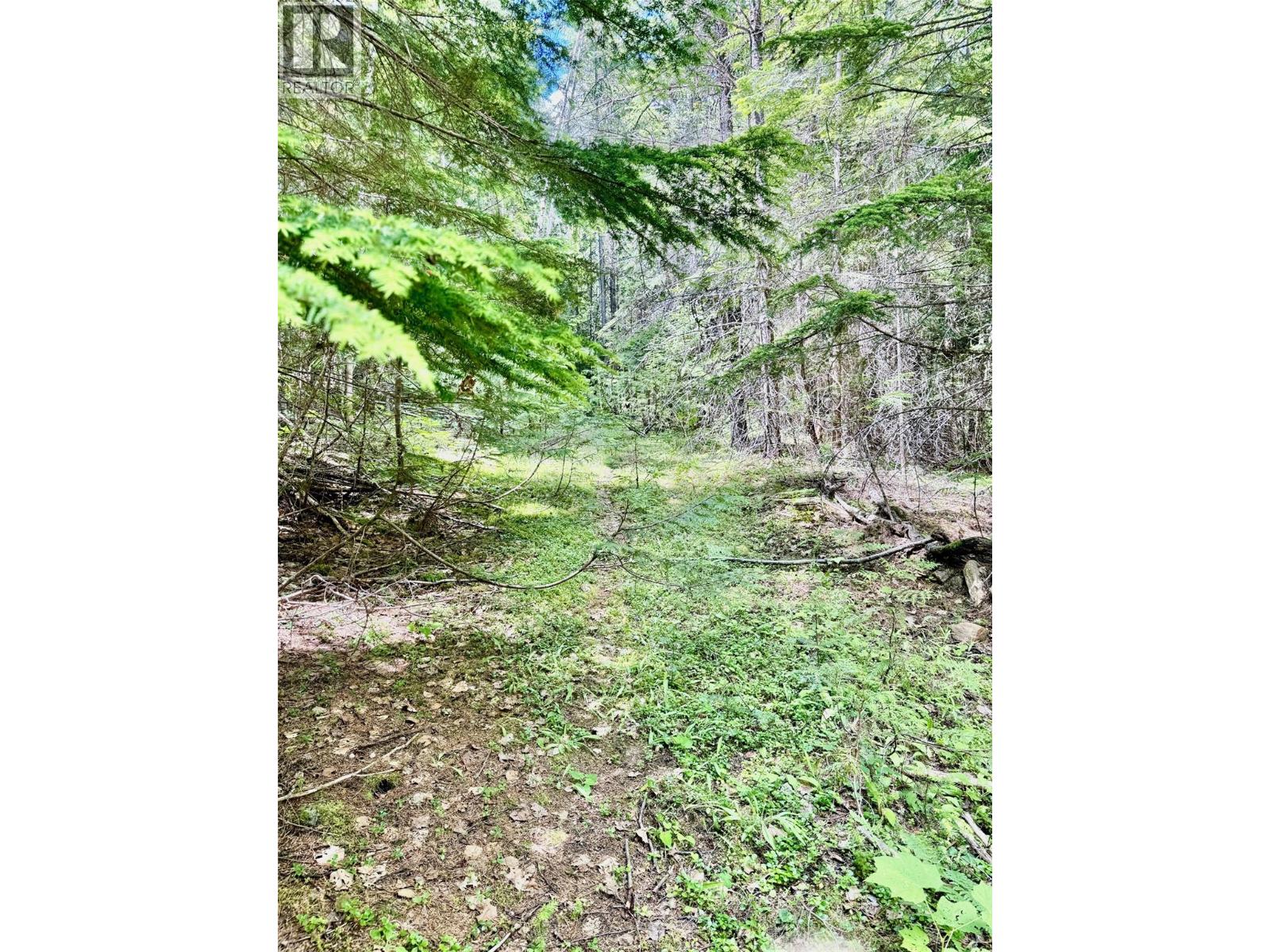 4019 Saunders Road, Winlaw, British Columbia  V0G 2J0 - Photo 31 - 10391927