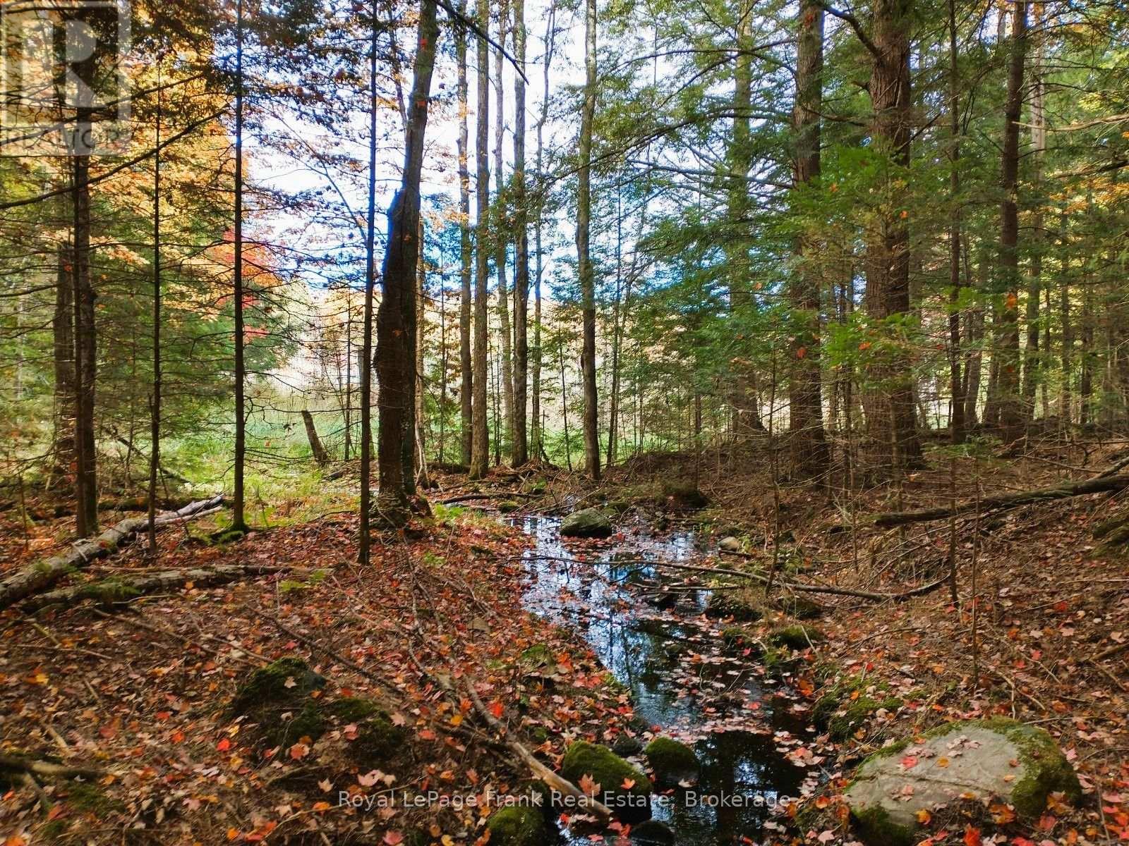 0 North Rusaw Road, North Kawartha, Ontario  K0L 1A0 - Photo 13 - X13693560