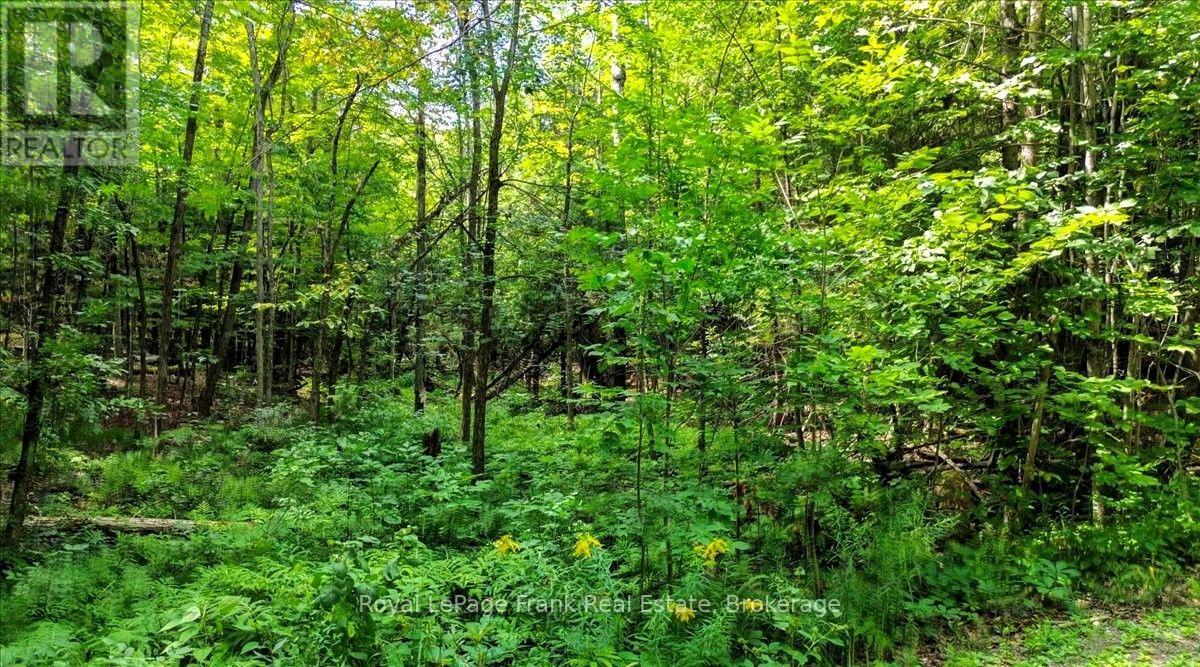 0 North Rusaw Road, North Kawartha, Ontario  K0L 1A0 - Photo 5 - X13693560