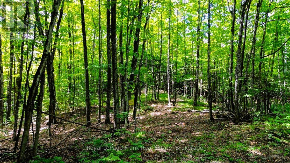 0 North Rusaw Road, North Kawartha, Ontario  K0L 1A0 - Photo 8 - X13693560
