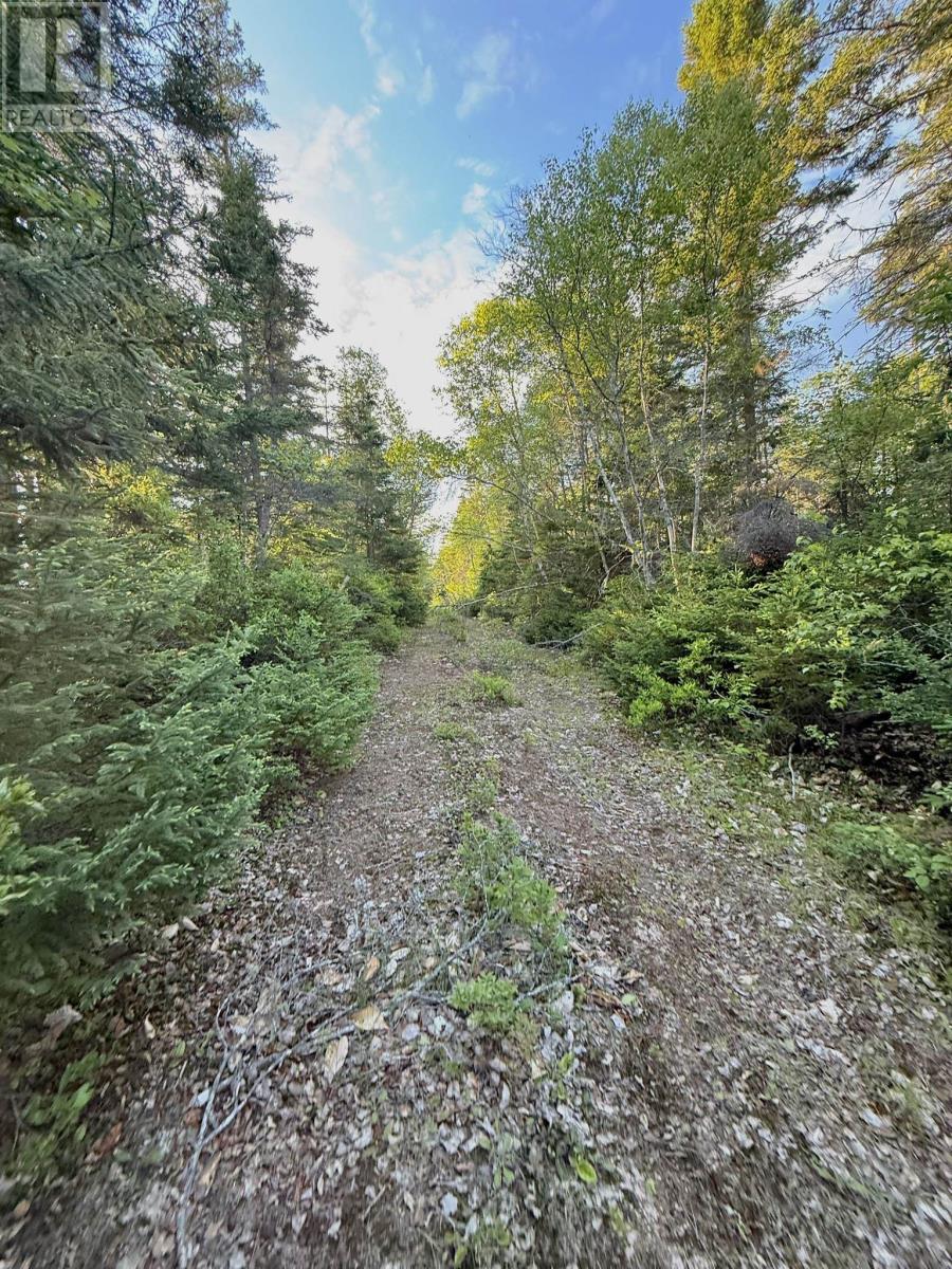 5 Acres Floating Bridge Road, Rte 202, Murray River, Prince Edward Island  C0A 1W0 - Photo 16 - 202614673