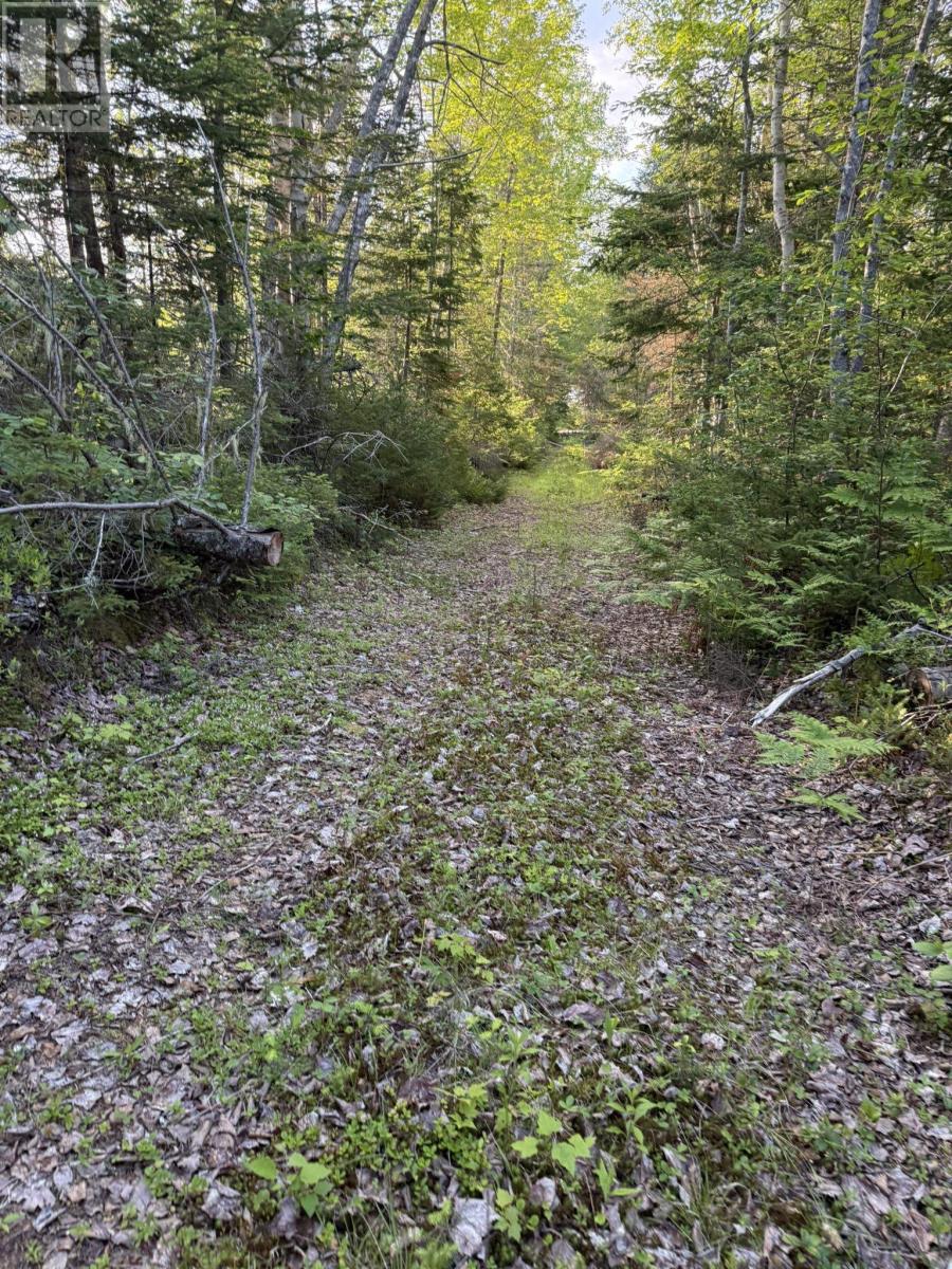 5 Acres Floating Bridge Road, Rte 202, Murray River, Prince Edward Island  C0A 1W0 - Photo 13 - 202614673