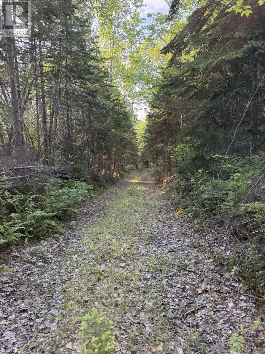 5 Acres Floating Bridge Road, Rte 202, Murray River, Prince Edward Island  C0A 1W0 - Photo 7 - 202614673
