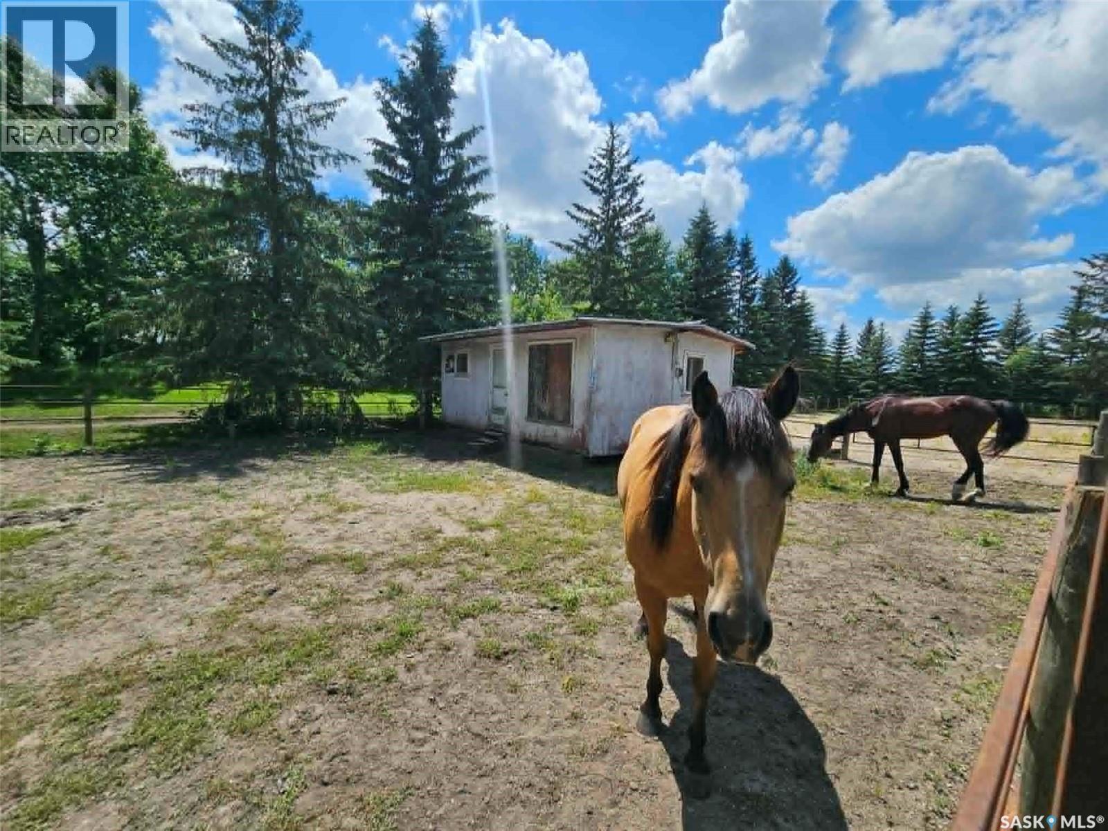 M Fraser Acreage, Fertile Belt Rm No. 183, Saskatchewan S0A 0X0 - Photo 19 - SK043901