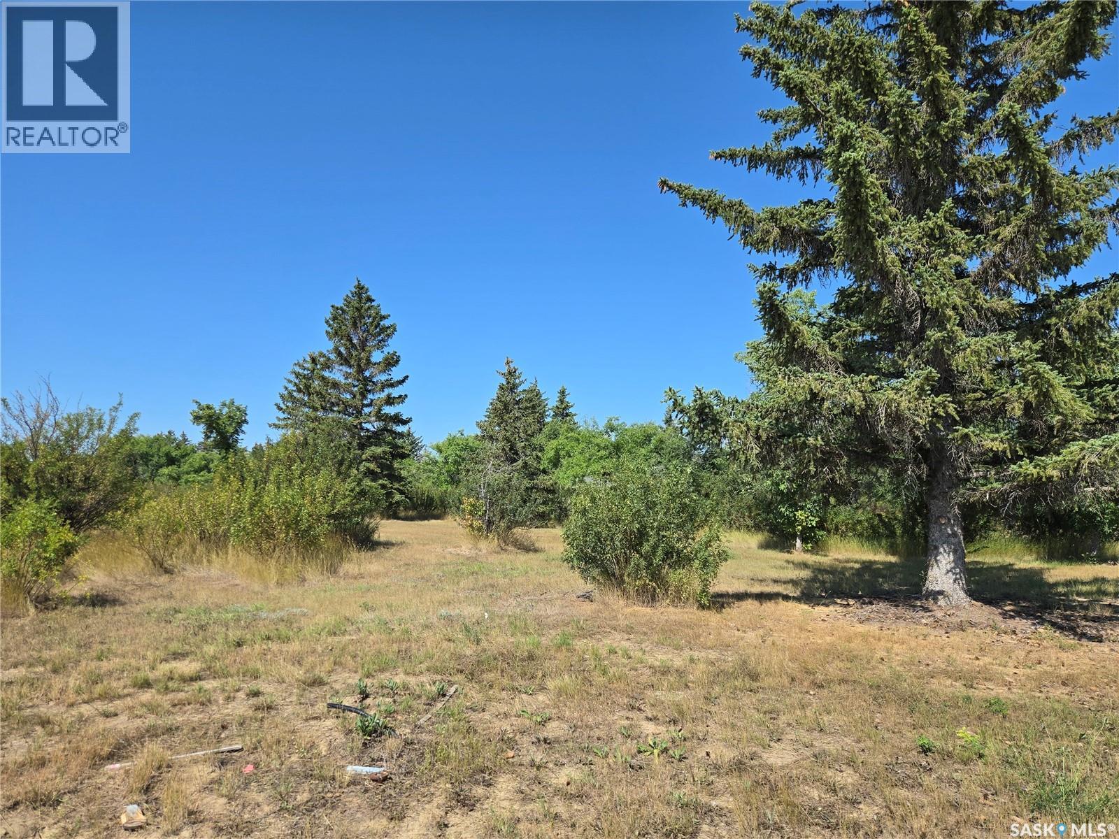 125 Dawn Lane, Diefenbaker Lake, Saskatchewan  S0L 2E0 - Photo 3 - SK046062