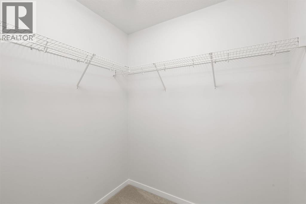 picture 42