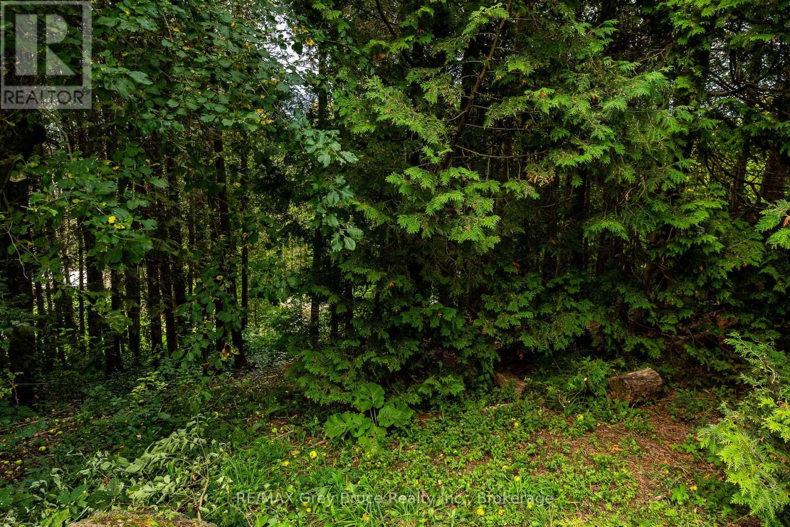34 Hilltop Drive, South Bruce Peninsula, Ontario  N0H 1A0 - Photo 19 - X13693778