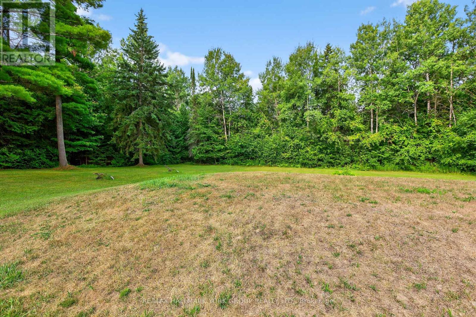 245 Davis Drive, Uxbridge, Ontario  L4A 7X4 - Photo 34 - N12338408