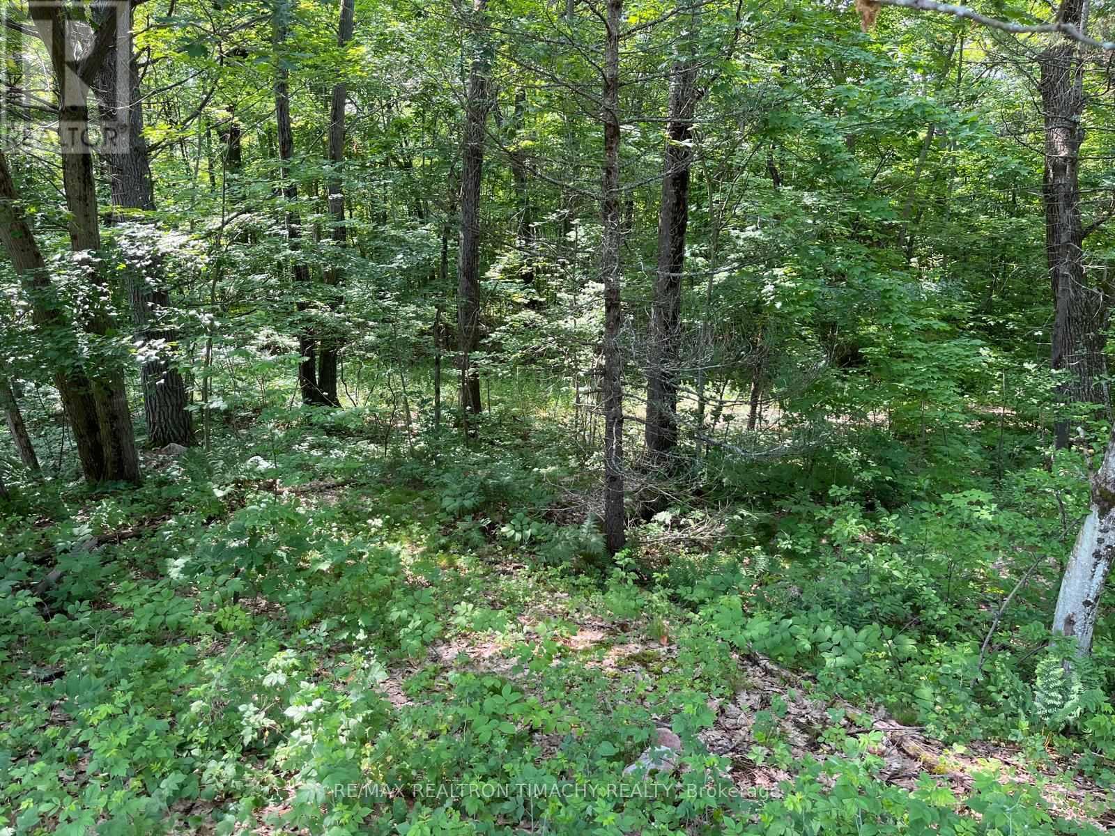 243 Prisque Road, Georgian Bay, Ontario  L0K 1S0 - Photo 11 - X13693764