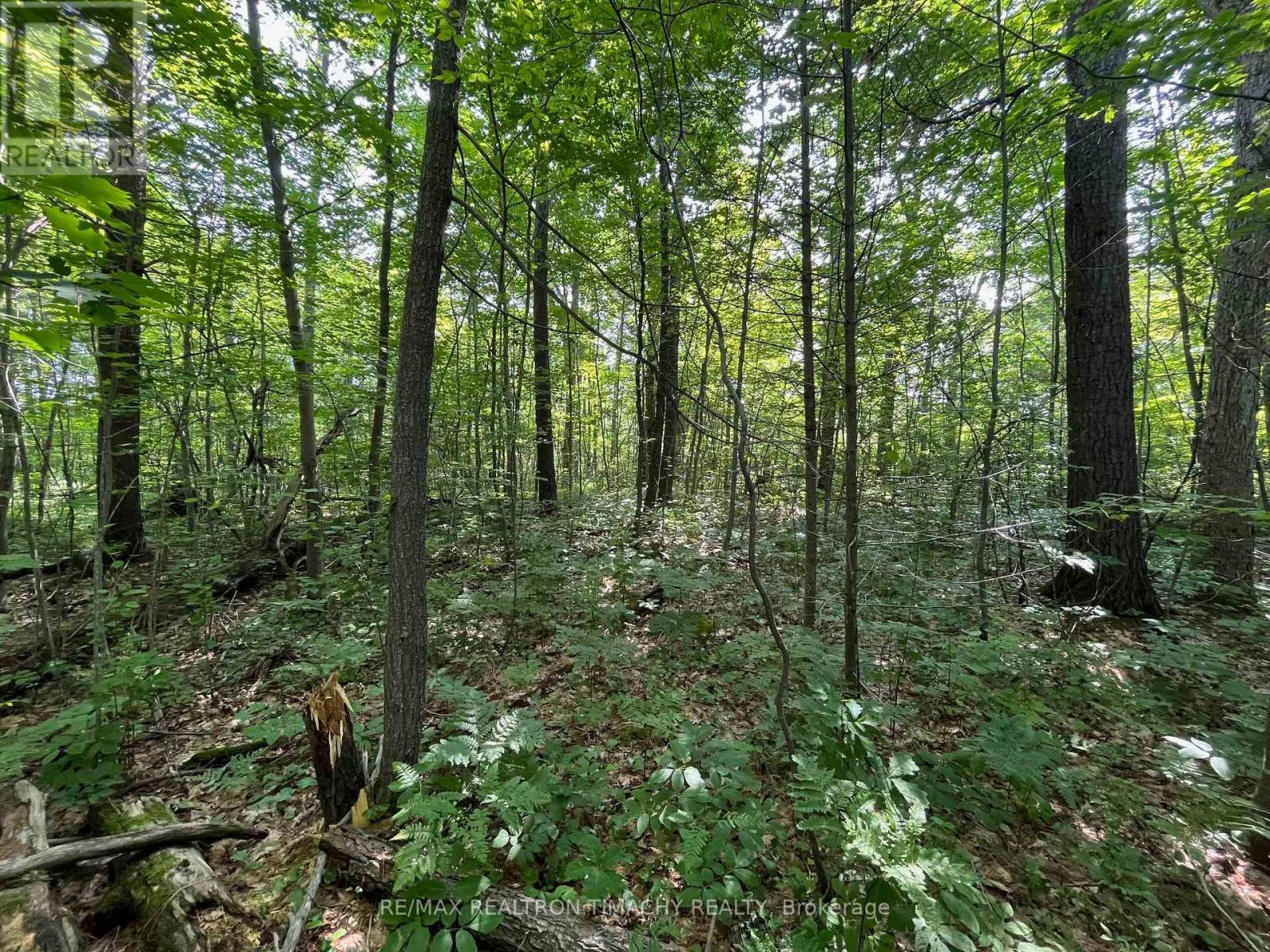 243 Prisque Road, Georgian Bay, Ontario  L0K 1S0 - Photo 12 - X13693764