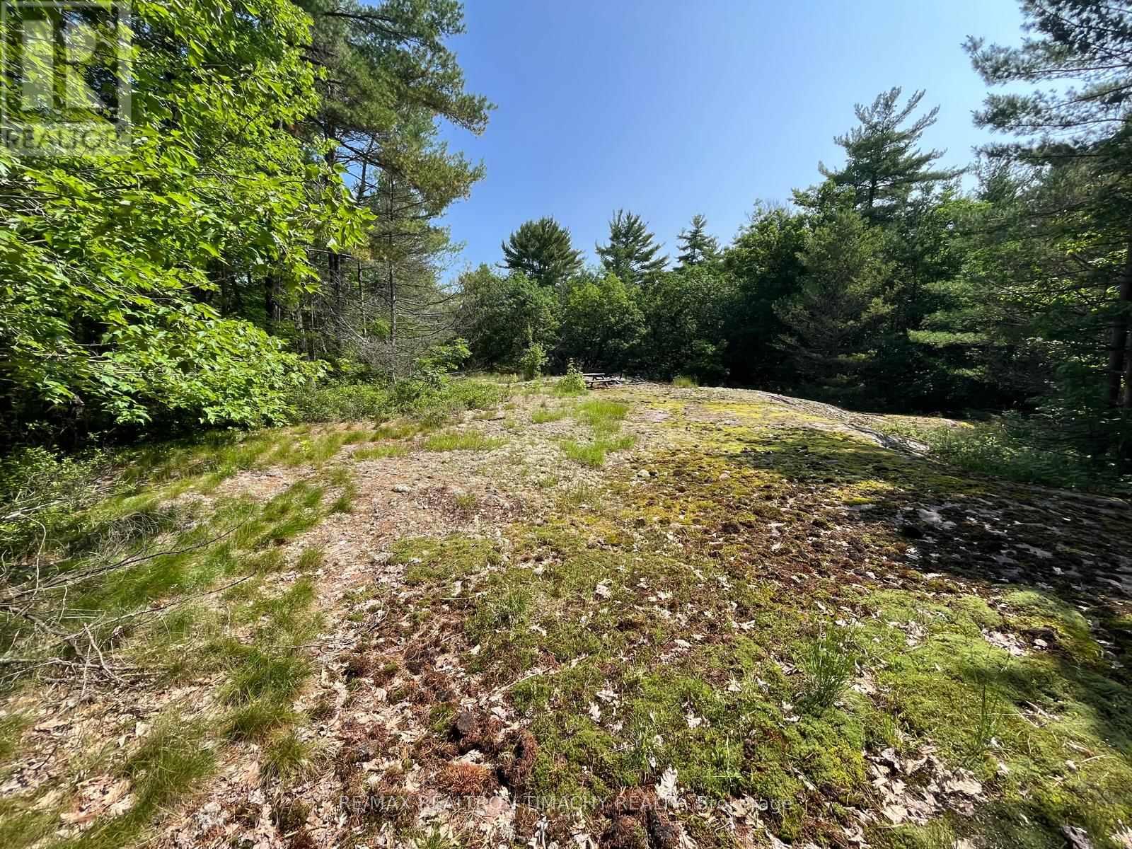 243 Prisque Road, Georgian Bay, Ontario  L0K 1S0 - Photo 13 - X13693764