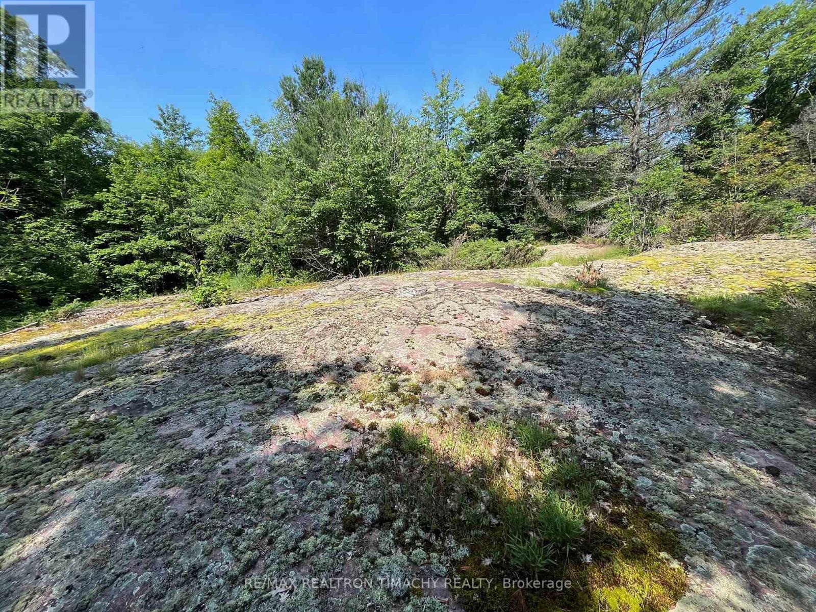 243 Prisque Road, Georgian Bay, Ontario  L0K 1S0 - Photo 14 - X13693764