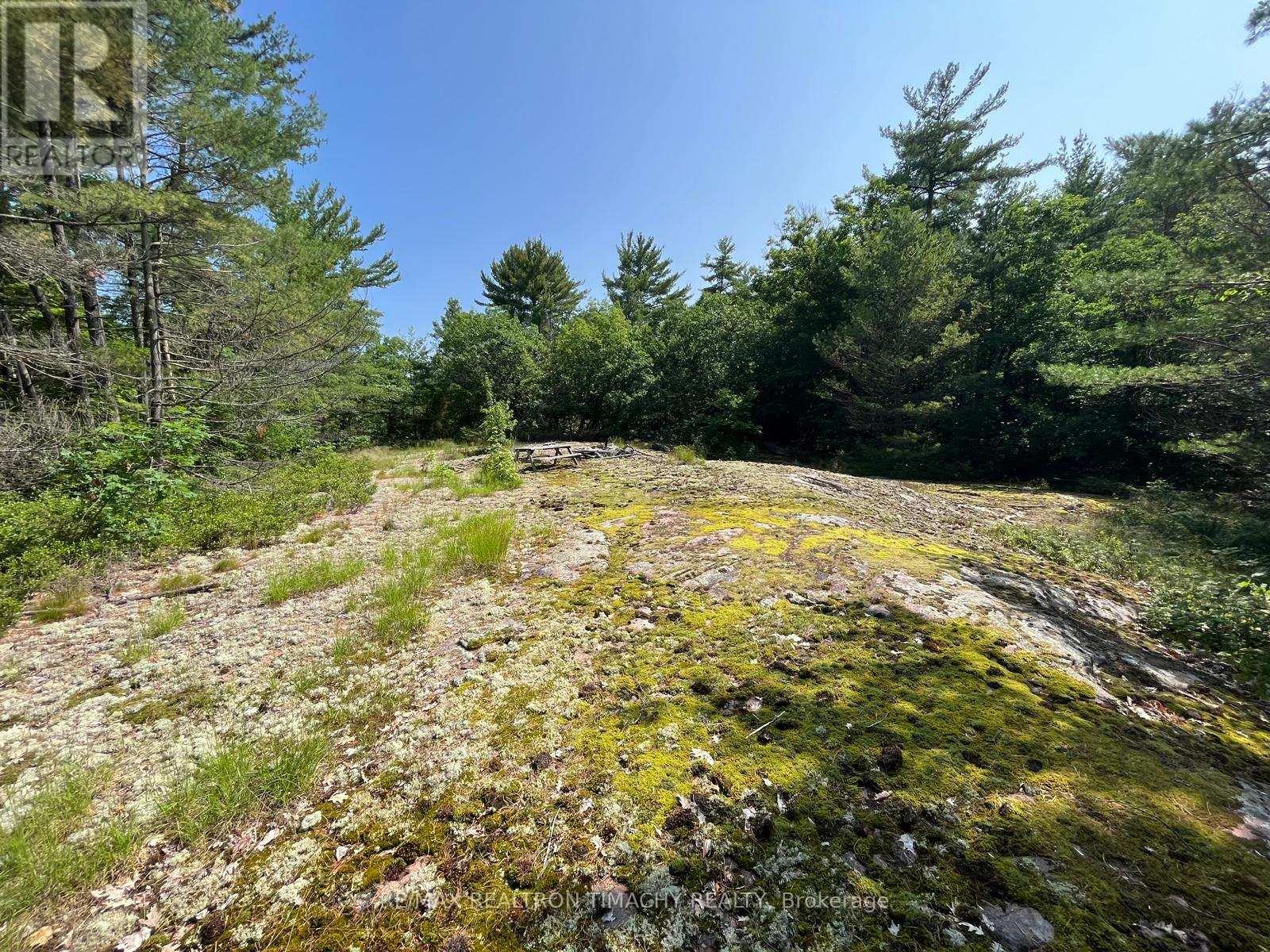 243 Prisque Road, Georgian Bay, Ontario  L0K 1S0 - Photo 19 - X13693764