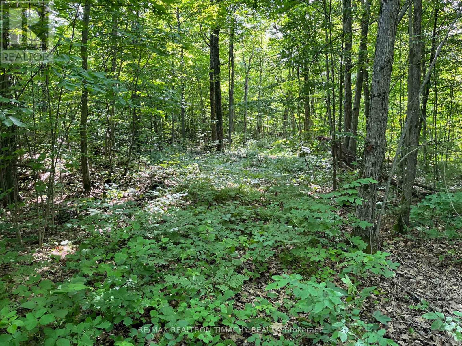 243 Prisque Road, Georgian Bay, Ontario  L0K 1S0 - Photo 20 - X13693764