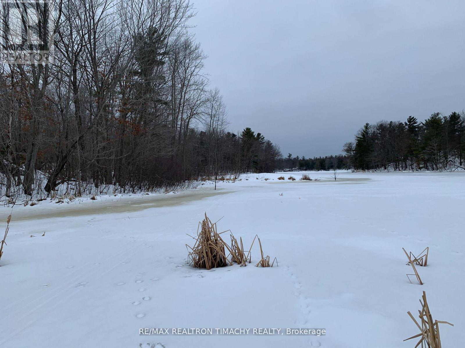 243 Prisque Road, Georgian Bay, Ontario  L0K 1S0 - Photo 37 - X13693764