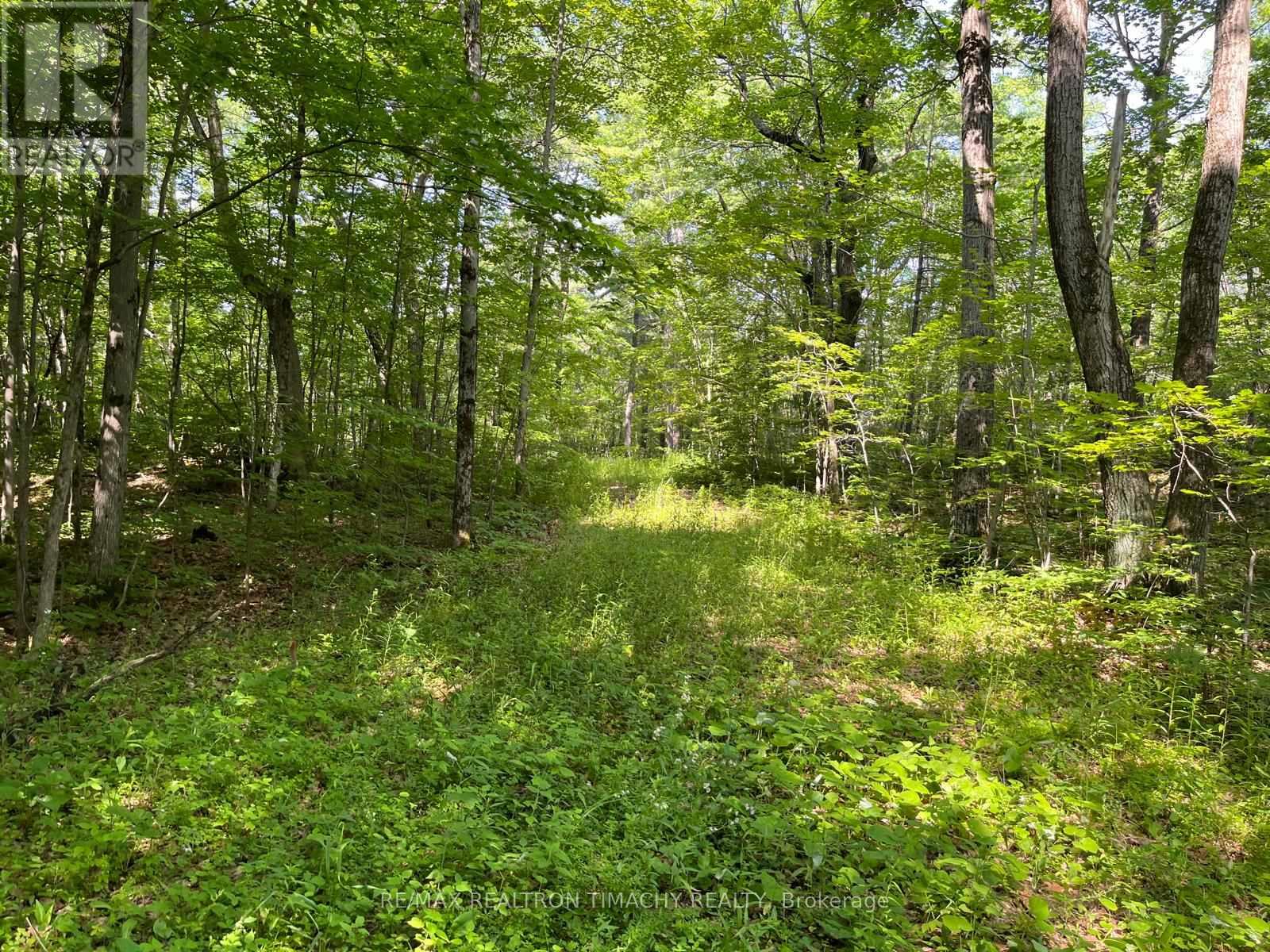 243 Prisque Road, Georgian Bay, Ontario  L0K 1S0 - Photo 6 - X13693764