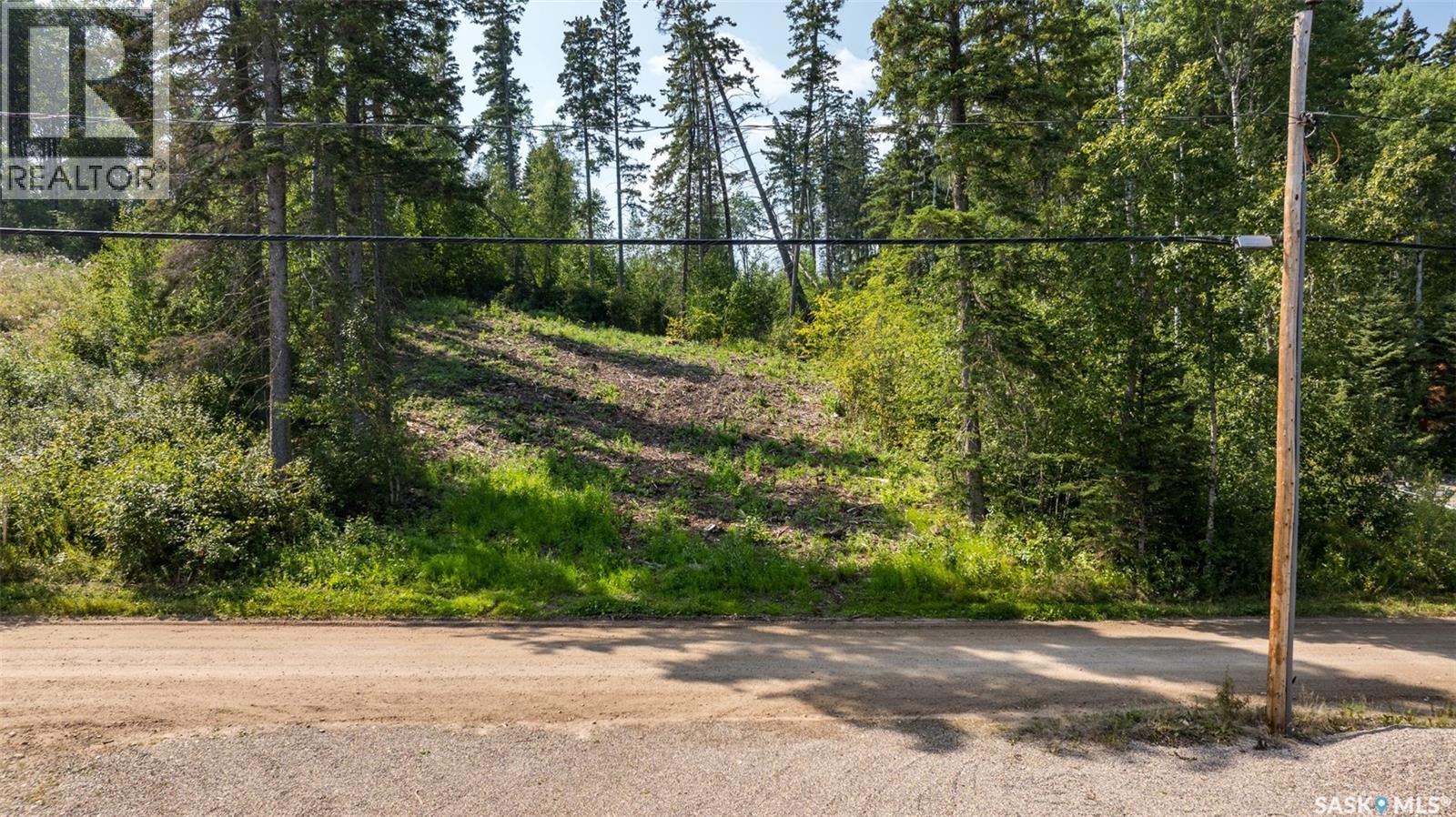 224 Carwin Park Drive, Emma Lake, Saskatchewan  S0J 0N0 - Photo 10 - SK046100