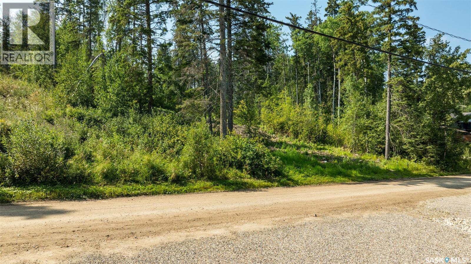 224 Carwin Park Drive, Emma Lake, Saskatchewan  S0J 0N0 - Photo 9 - SK046100