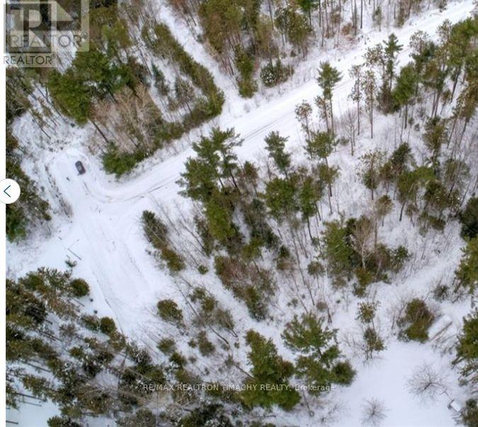 Lt 19 Rue Karola, Tiny, Ontario  L0L 2J0 - Photo 10 - S13693838