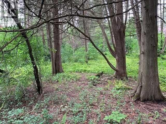Lt 19 Rue Karola, Tiny, Ontario  L0L 2J0 - Photo 12 - S13693838