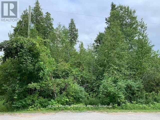 Lt 19 Rue Karola, Tiny, Ontario  L0L 2J0 - Photo 2 - S13693838